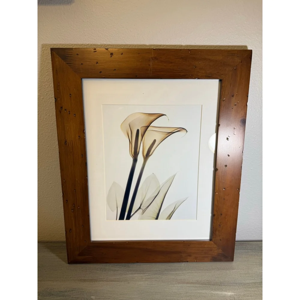 Framed Calla Lily art print approx. 15x18”